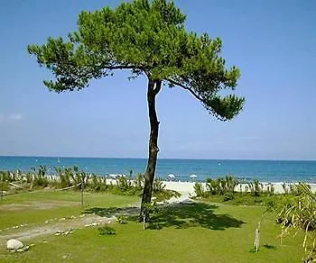 Résidence Cala Bianca Borgo (Corsica)